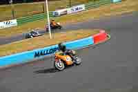 Vintage-motorcycle-club;eventdigitalimages;mallory-park;mallory-park-trackday-photographs;no-limits-trackdays;peter-wileman-photography;trackday-digital-images;trackday-photos;vmcc-festival-1000-bikes-photographs